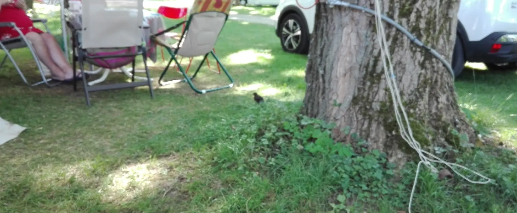Camping Alauzet