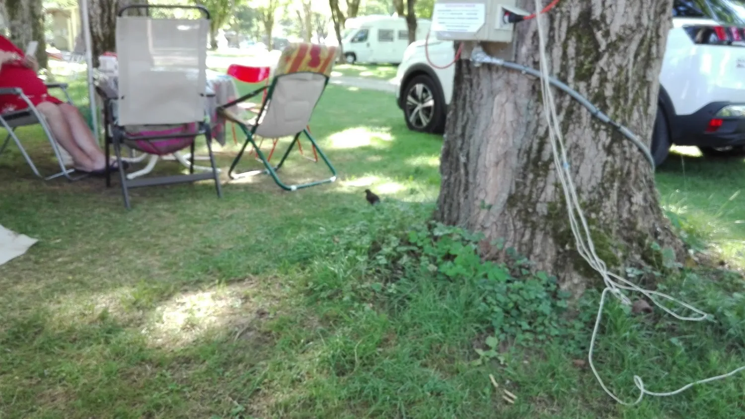 camping-alauzet-mandailles-jvjkh