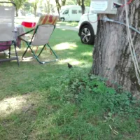 Camping Alauzet