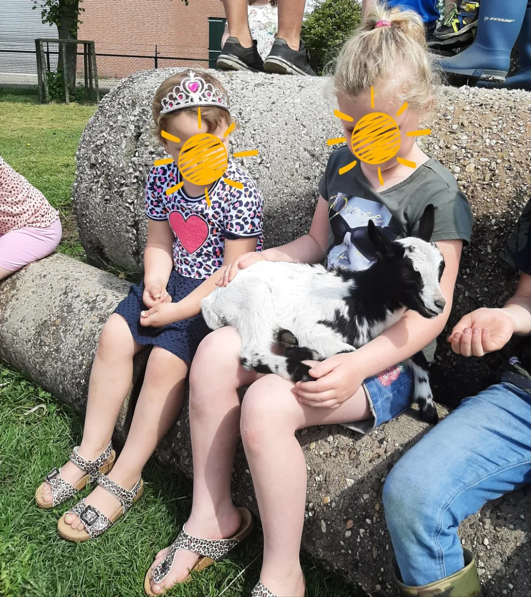 camping-driehuis-reek-3smhn