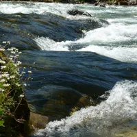 camping-wildalpen-wildalpen-ab116