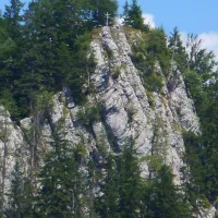 camping-wildalpen-wildalpen-css7r