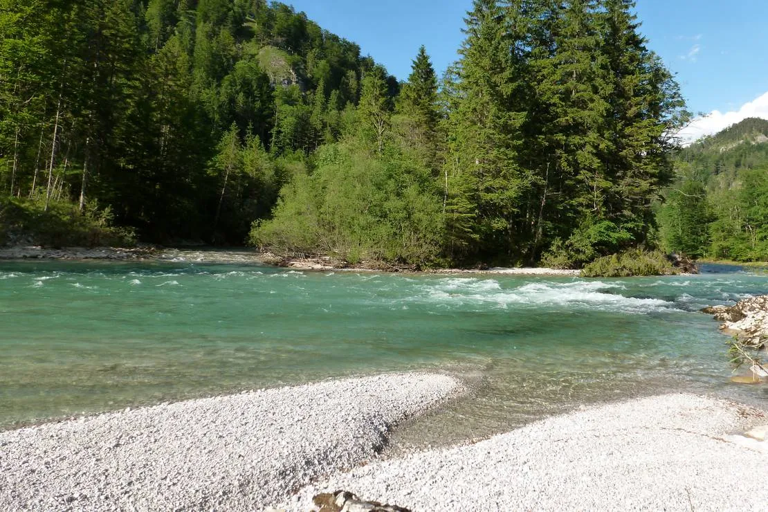 camping-wildalpen-wildalpen-dqbuv