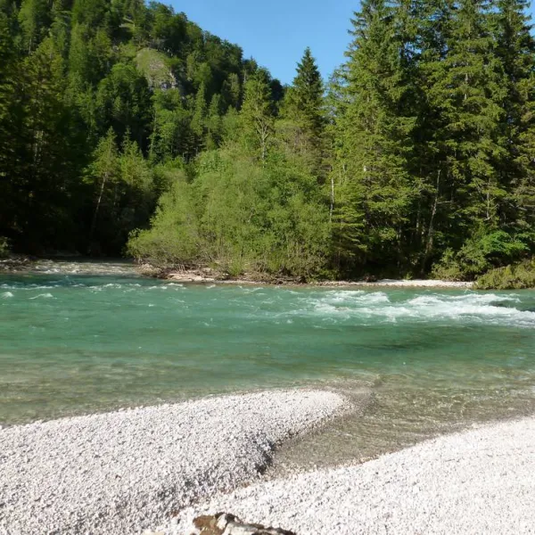 camping-wildalpen-wildalpen-dqbuv