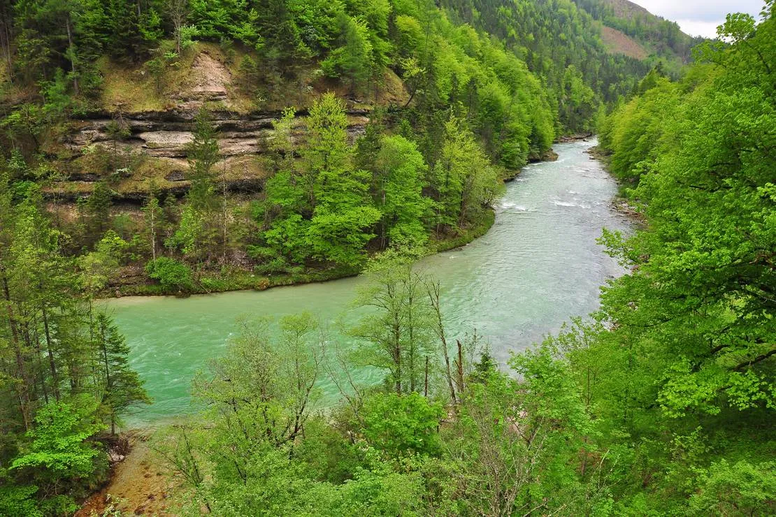 camping-wildalpen-wildalpen-knfzv