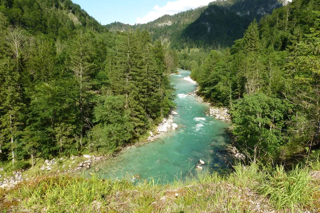 camping-wildalpen-wildalpen-mmlts
