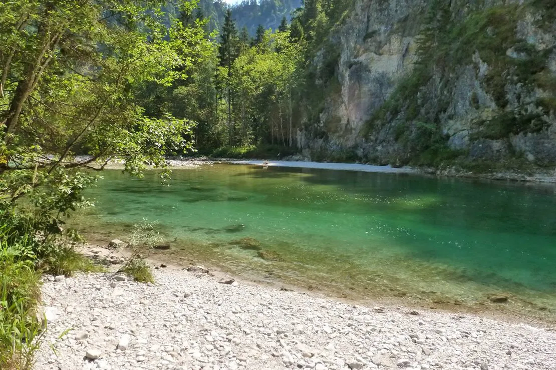 camping-wildalpen-wildalpen-rffs8