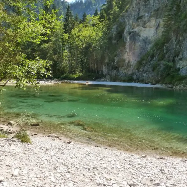 camping-wildalpen-wildalpen-rffs8