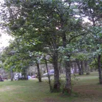 cannich-carav-camp-park-cannich-by-beauly-tt9jc