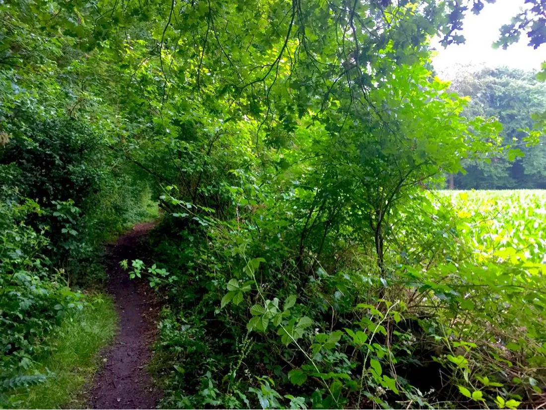 camping-hoog-soeren-hoog-soeren-gaaks