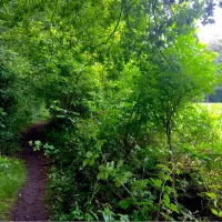 camping-hoog-soeren-hoog-soeren-gaaks