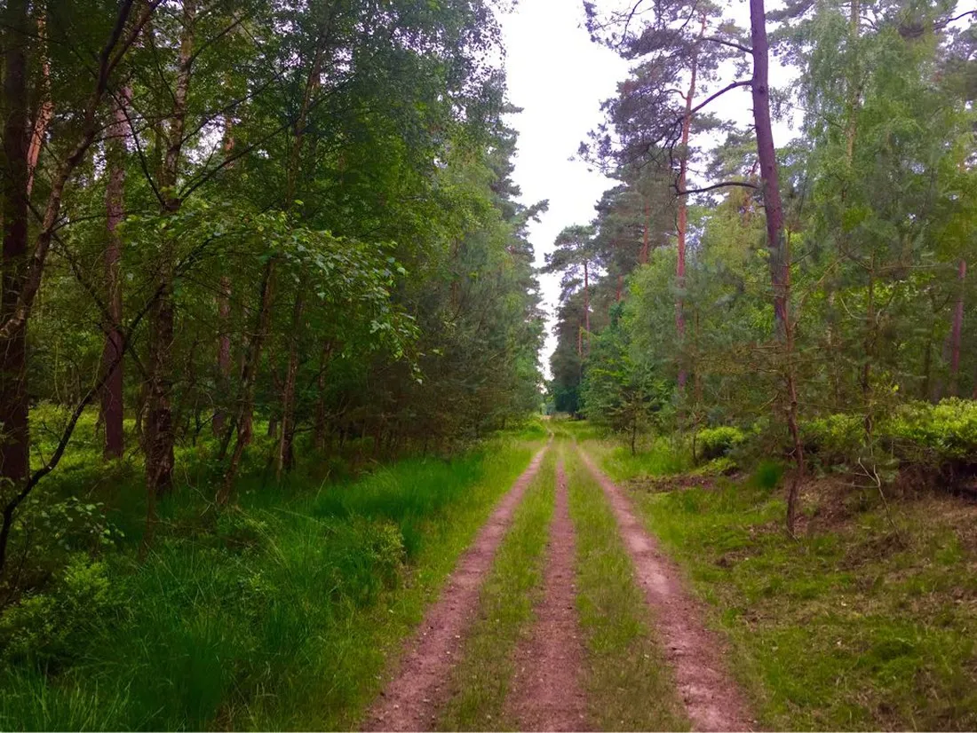 camping-hoog-soeren-hoog-soeren-pbogi
