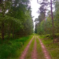 camping-hoog-soeren-hoog-soeren-pbogi