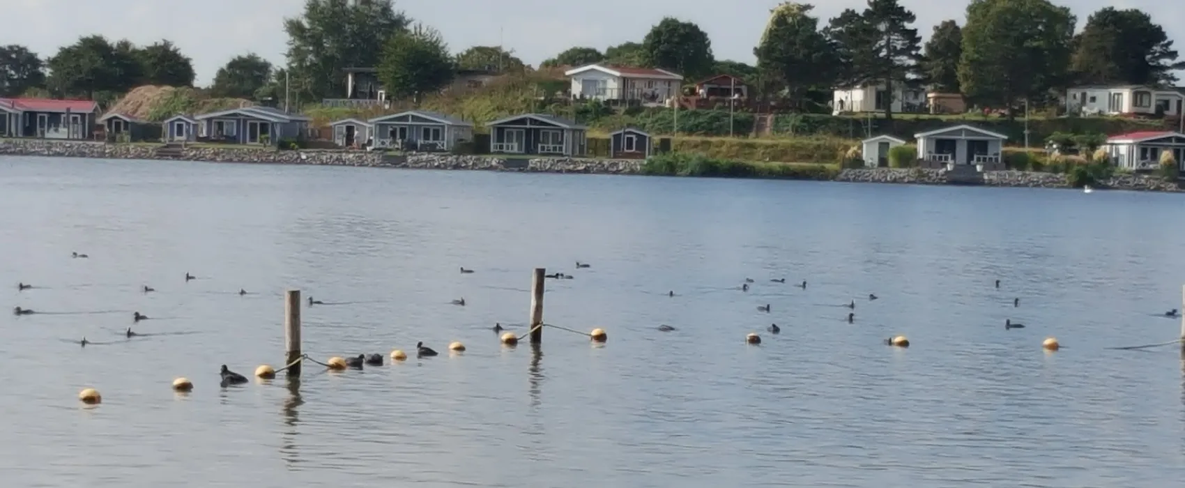 Camping De Meeuw