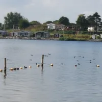 Camping De Meeuw