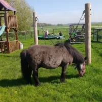 minicamping-hoogelande-grijpskerke-dmqhi