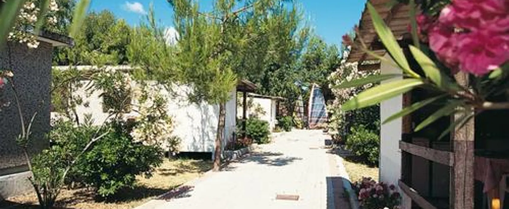 Camping Le Diomedee