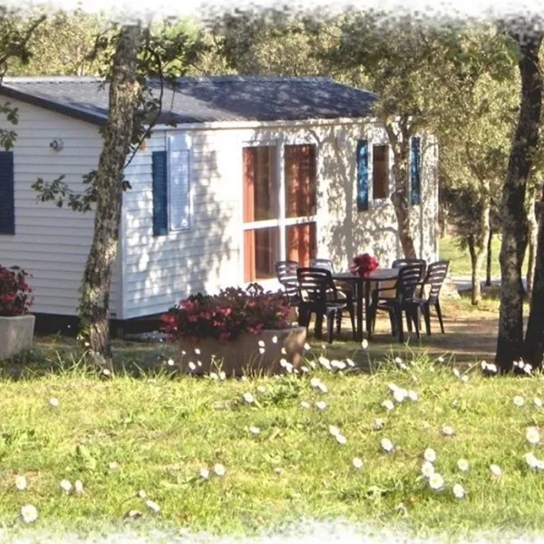 camping-les-chenes-clairs-condat-sdcwr