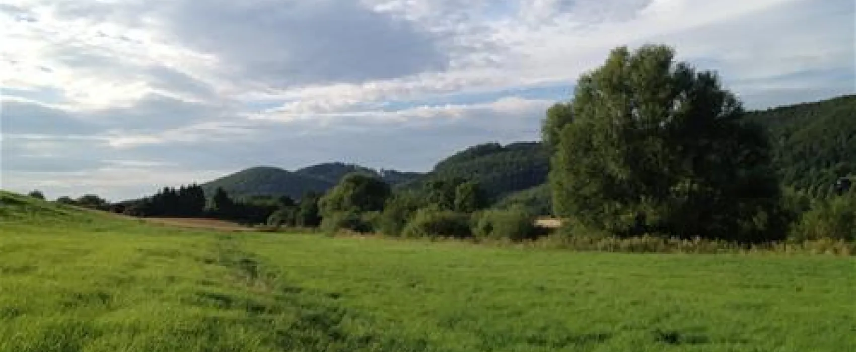 Leinecamp