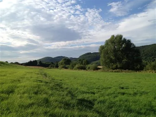 leinecamp-fredenleine-njial
