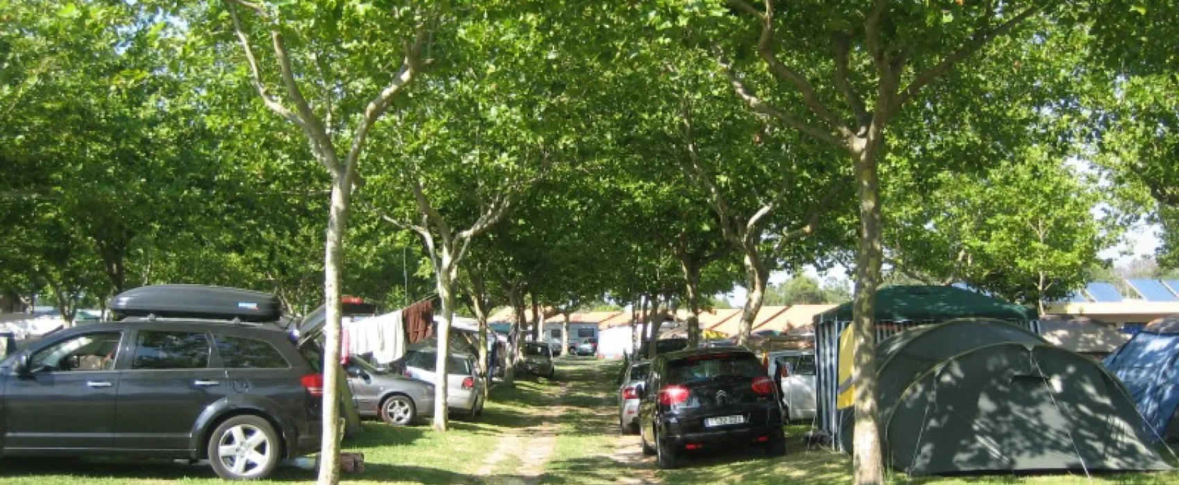 Camping Paisaxe II