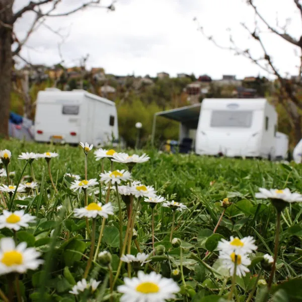 camping-gran-sol-montferrer-i-castellb-gerc6