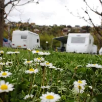 camping-gran-sol-montferrer-i-castellb-gerc6