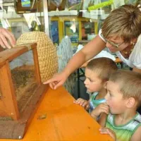 schluga-camping-hermagor-hermagor-i2k59