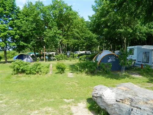 camping-sanssouci-zu-potsdamberlin-berlinpotsdam-3wo36