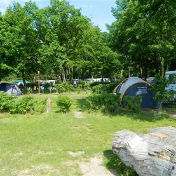 camping-sanssouci-zu-potsdamberlin-berlinpotsdam-3wo36
