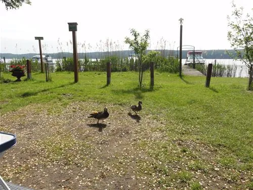 camping-sanssouci-zu-potsdamberlin-berlinpotsdam-gwtmg