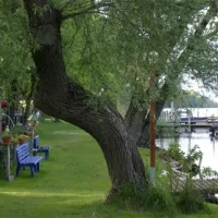 camping-sanssouci-zu-potsdamberlin-berlinpotsdam-jy5tt