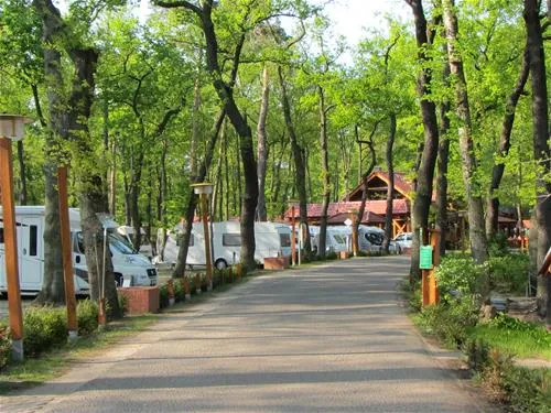 camping-sanssouci-zu-potsdamberlin-berlinpotsdam-qlxr0