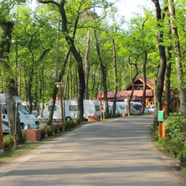 camping-sanssouci-zu-potsdamberlin-berlinpotsdam-qlxr0