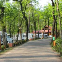 camping-sanssouci-zu-potsdamberlin-berlinpotsdam-qlxr0