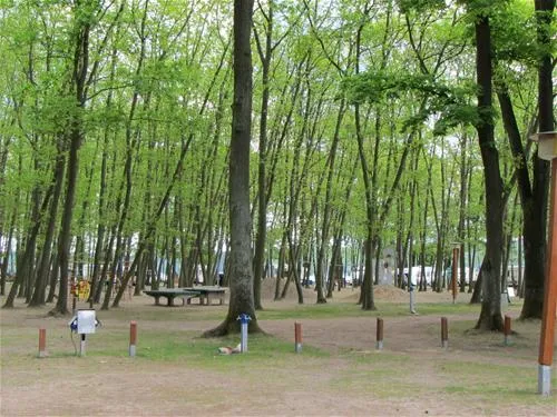 camping-sanssouci-zu-potsdamberlin-berlinpotsdam-whybj