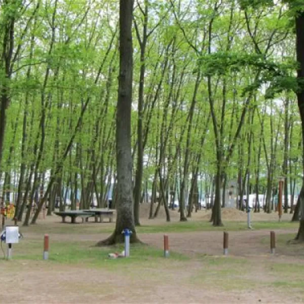 camping-sanssouci-zu-potsdamberlin-berlinpotsdam-whybj