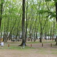 camping-sanssouci-zu-potsdamberlin-berlinpotsdam-whybj