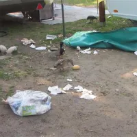 camping-sanssouci-zu-potsdamberlin-berlinpotsdam-wsbfg