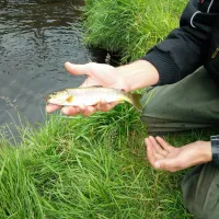 Aalestrup Camping