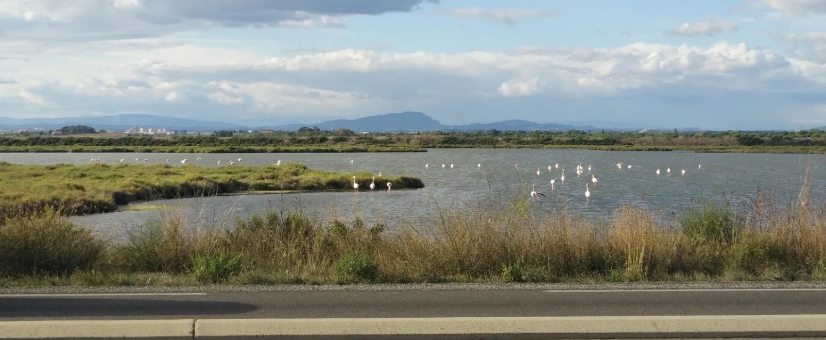 Camping Montpellier Plage