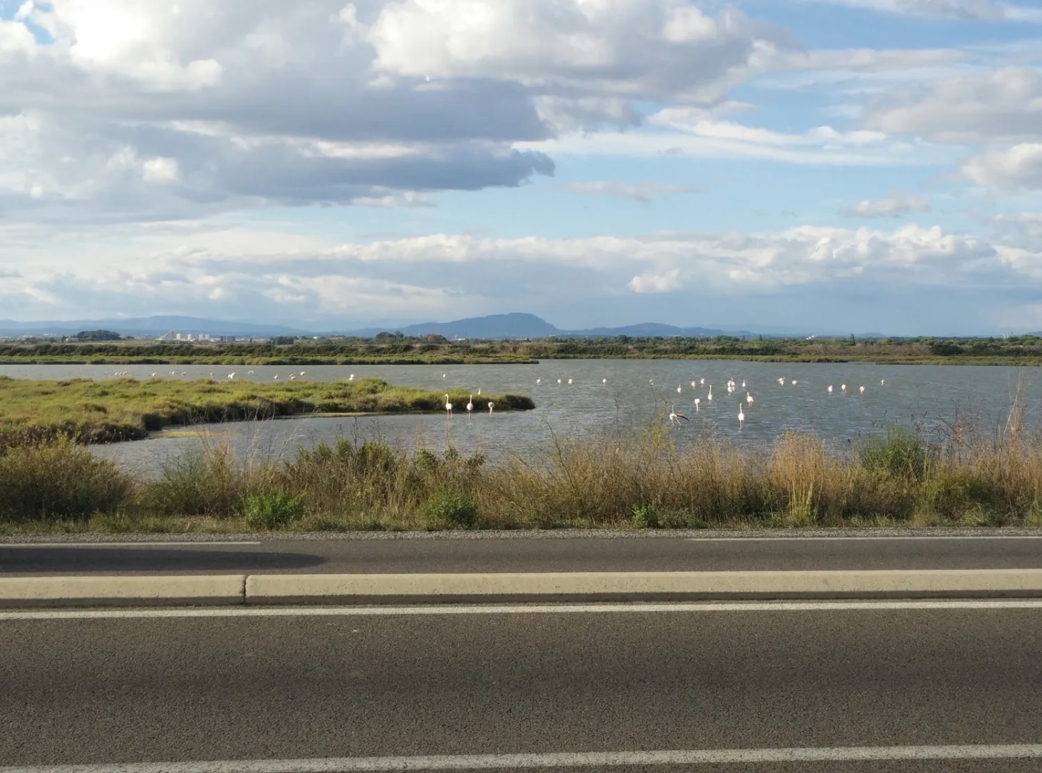camping-montpellier-plage-palavas-les-flots-s1d1a