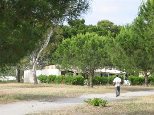 camping-de-la-plage-algajola-qrdqc