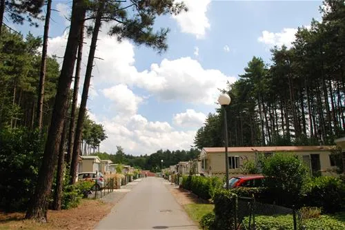 verblijfpark-breebos-rijkevorsel-cc73j