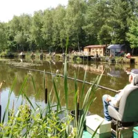 verblijfpark-breebos-rijkevorsel-igbze
