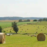 camping-la-jonquille-hautesane-8ewcz