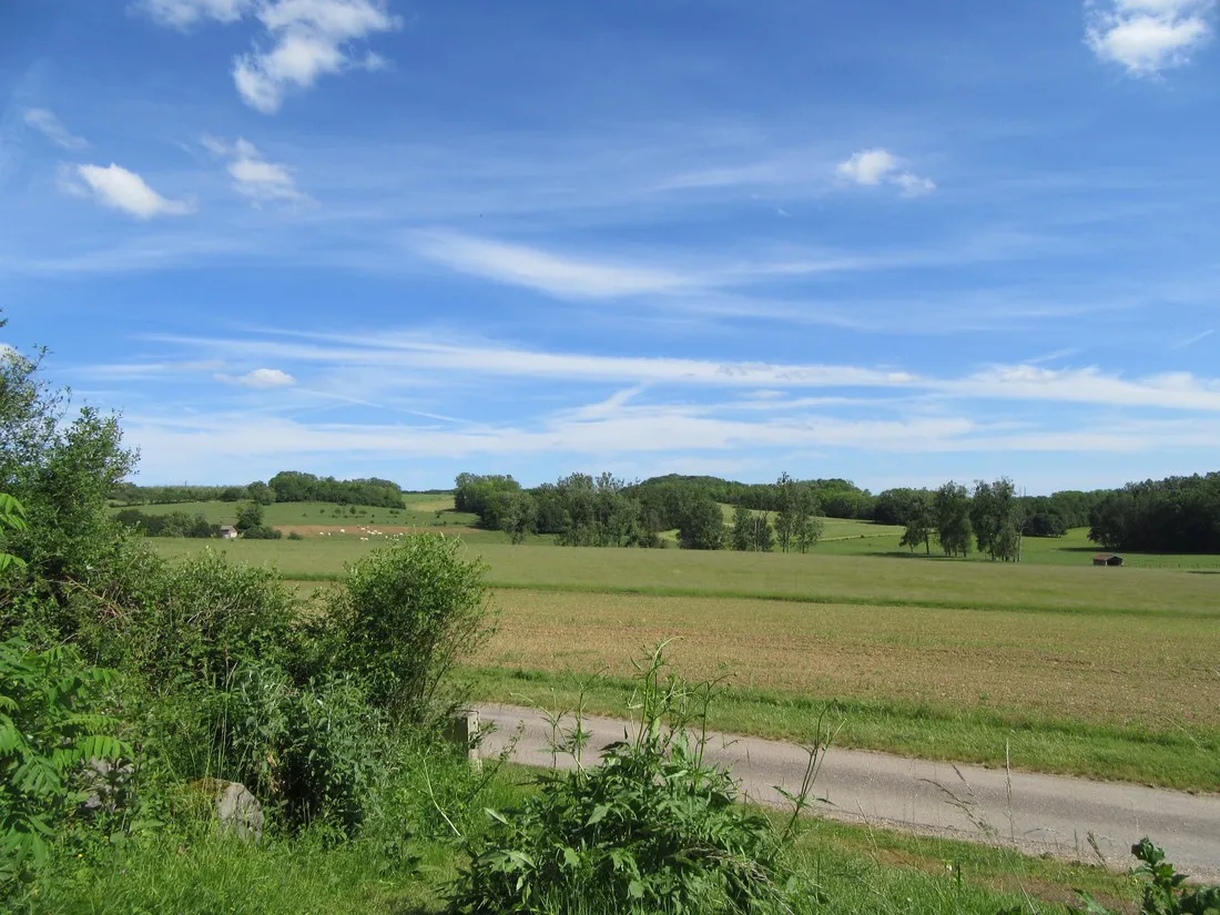 camping-la-jonquille-hautesane-mpuzy