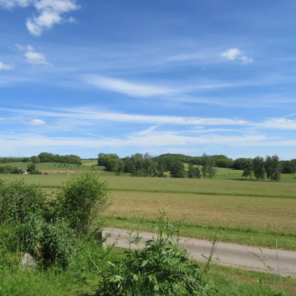 camping-la-jonquille-hautesane-mpuzy