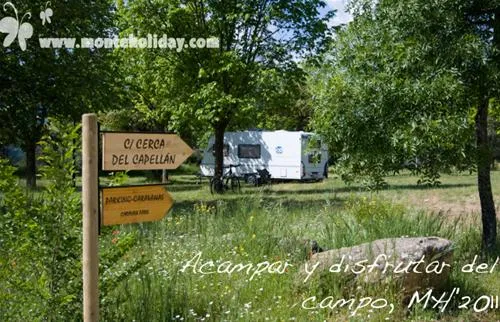 camping-monte-holiday-gargantilla-del-lozoya-y-pinilla-de-buitrago-ls4ii