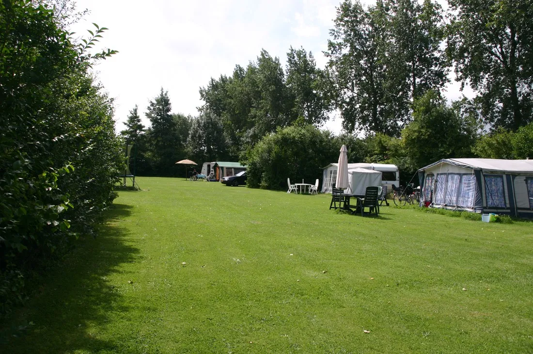 de-weidebloem-arnemuiden-yrgye
